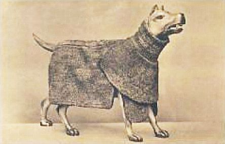 Dog_Armour