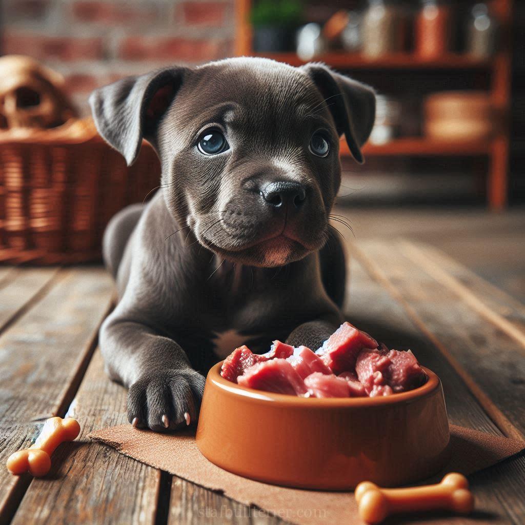 Jak vychovat Stafordšírského bulteriéra 44 Jak vychovat Stafordšírského bulteriéra stafordšírský bulteriér ilustrace