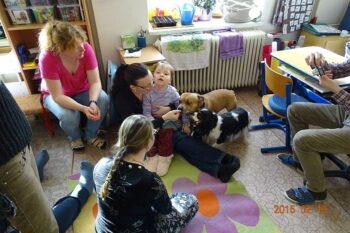 stafordšírský bulteriér canisterapie