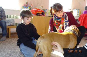 stafordšírský bulteriér canisterapie