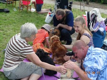 stafordšírský bulteriér canisterapie