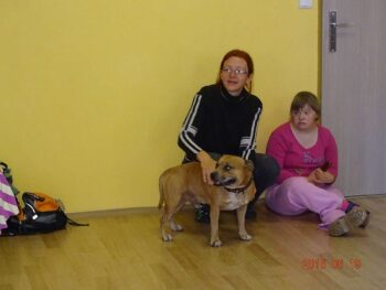 stafordšírský bulteriér canisterapie