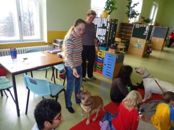 Canisterapie Stafordšírských bulteriérů 58 Canisterapie Stafordšírských bulteriérů stafordšírský bulteriér canisterapie