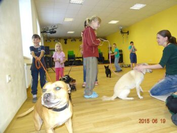Canisterapie Stafordšírských bulteriérů 57 Canisterapie Stafordšírských bulteriérů stafordšírský bulteriér canisterapie