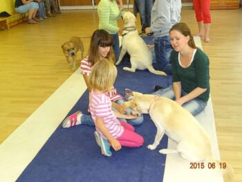 Canisterapie Stafordšírských bulteriérů 55 Canisterapie Stafordšírských bulteriérů stafordšírský bulteriér canisterapie