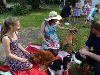 stafordšírský bulteriér canisterapie