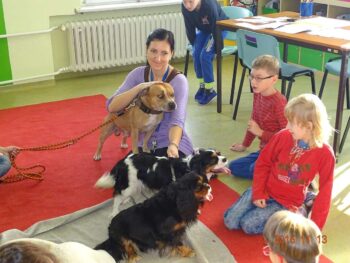 Canisterapie Stafordšírských bulteriérů 52 Canisterapie Stafordšírských bulteriérů stafordšírský bulteriér canisterapie