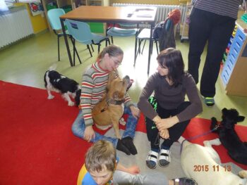 Canisterapie Stafordšírských bulteriérů 51 Canisterapie Stafordšírských bulteriérů stafordšírský bulteriér canisterapie