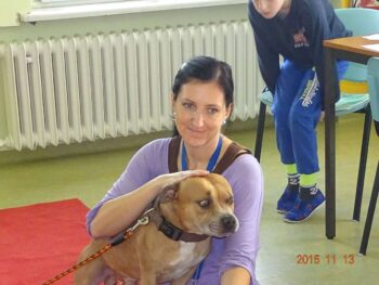 stafordšírský bulteriér canisterapie