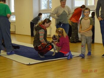 Canisterapie Stafordšírských bulteriérů 48 Canisterapie Stafordšírských bulteriérů stafordšírský bulteriér canisterapie