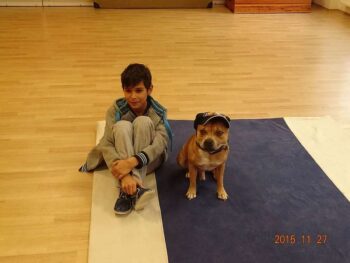 stafordšírský bulteriér canisterapie