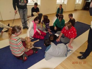 Canisterapie Stafordšírských bulteriérů 44 Canisterapie Stafordšírských bulteriérů stafordšírský bulteriér canisterapie