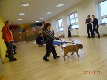 stafordšírský bulteriér canisterapie