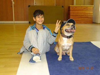 stafordšírský bulteriér canisterapie