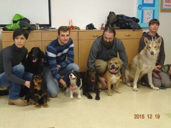 Canisterapie Stafordšírských bulteriérů 40 Canisterapie Stafordšírských bulteriérů stafordšírský bulteriér canisterapie