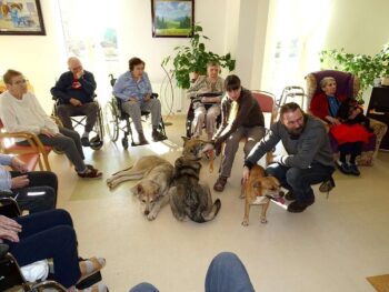 Canisterapie Stafordšírských bulteriérů 37 Canisterapie Stafordšírských bulteriérů stafordšírský bulteriér canisterapie