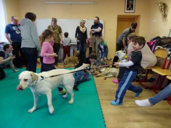 Canisterapie Stafordšírských bulteriérů 35 Canisterapie Stafordšírských bulteriérů stafordšírský bulteriér canisterapie