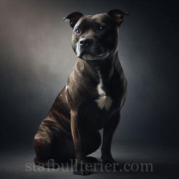 9dc757a7 2649 4af0 9650 f7665c45f727