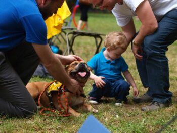Canisterapie Stafordšírských bulteriérů 161 Canisterapie Stafordšírských bulteriérů stafordšírský bulteriér canisterapie
