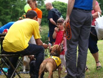 stafordšírský bulteriér canisterapie