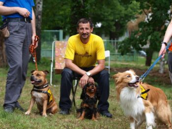 Canisterapie Stafordšírských bulteriérů 160 Canisterapie Stafordšírských bulteriérů stafordšírský bulteriér canisterapie