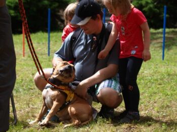 stafordšírský bulteriér canisterapie