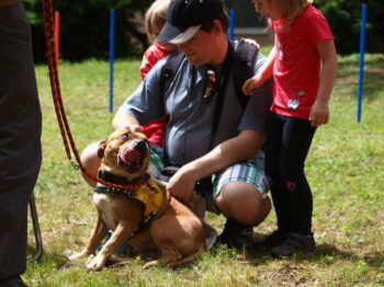 Canisterapie Stafordšírských bulteriérů 156 Canisterapie Stafordšírských bulteriérů stafordšírský bulteriér canisterapie