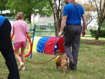 Canisterapie Stafordšírských bulteriérů 148 Canisterapie Stafordšírských bulteriérů stafordšírský bulteriér canisterapie