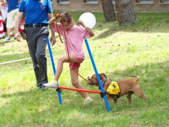 Canisterapie Stafordšírských bulteriérů 145 Canisterapie Stafordšírských bulteriérů stafordšírský bulteriér canisterapie