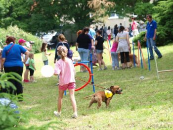 Canisterapie Stafordšírských bulteriérů 147 Canisterapie Stafordšírských bulteriérů stafordšírský bulteriér canisterapie