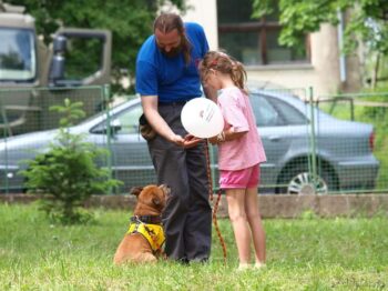 Canisterapie Stafordšírských bulteriérů 158 Canisterapie Stafordšírských bulteriérů stafordšírský bulteriér canisterapie