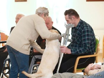 stafordšírský bulteriér canisterapie