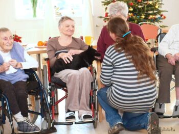 Canisterapie Stafordšírských bulteriérů 194 Canisterapie Stafordšírských bulteriérů stafordšírský bulteriér canisterapie