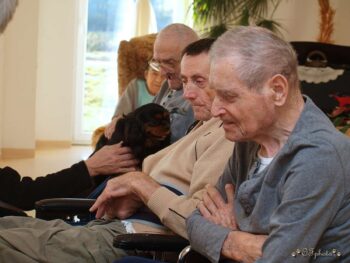 stafordšírský bulteriér canisterapie