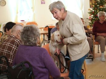stafordšírský bulteriér canisterapie
