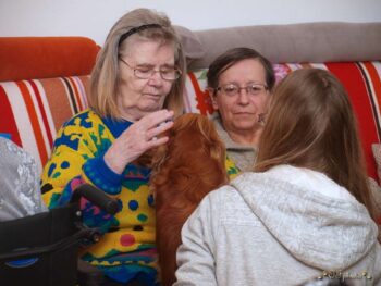 Canisterapie Stafordšírských bulteriérů 190 Canisterapie Stafordšírských bulteriérů stafordšírský bulteriér canisterapie