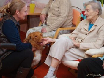 stafordšírský bulteriér canisterapie