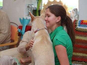 Canisterapie Stafordšírských bulteriérů 181 Canisterapie Stafordšírských bulteriérů stafordšírský bulteriér canisterapie