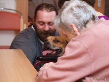 stafordšírský bulteriér canisterapie