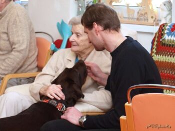 Canisterapie Stafordšírských bulteriérů 178 Canisterapie Stafordšírských bulteriérů stafordšírský bulteriér canisterapie