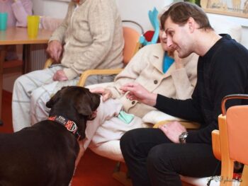 stafordšírský bulteriér canisterapie