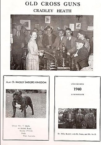 history staffordshire bull terrier22