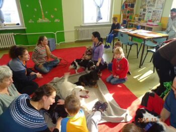 Canisterapie Stafordšírských bulteriérů 26 Canisterapie Stafordšírských bulteriérů stafordšírský bulteriér canisterapie