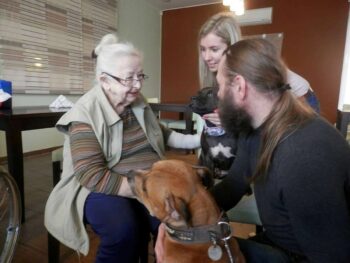 Canisterapie Stafordšírských bulteriérů 23 Canisterapie Stafordšírských bulteriérů stafordšírský bulteriér canisterapie