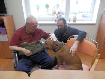 stafordšírský bulteriér canisterapie