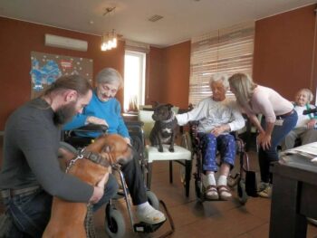 stafordšírský bulteriér canisterapie