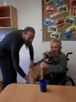 Canisterapie Stafordšírských bulteriérů 19 Canisterapie Stafordšírských bulteriérů stafordšírský bulteriér canisterapie