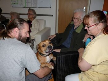 stafordšírský bulteriér canisterapie