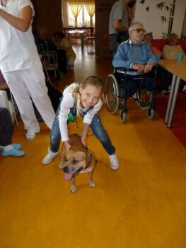 stafordšírský bulteriér canisterapie