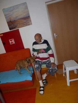 stafordšírský bulteriér canisterapie